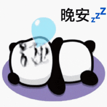 a panda bear is sleeping on a purple blanket with a bubble in its mouth