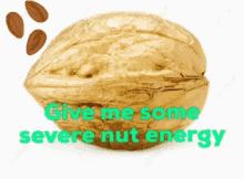 a walnut with the words give me some severe nut energy