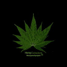 a marijuana leaf on a black background with the words hempcollectors handycraftproject underneath it