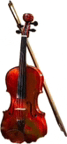 a violin with a bow on a white background .