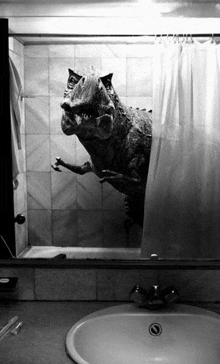 a black and white photo of a dinosaur taking a shower .