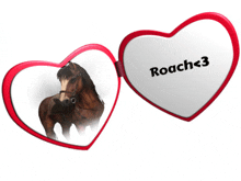 a picture of a horse in a heart shaped frame that says roach < 3 on it