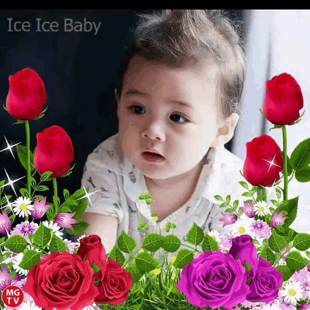 a baby is surrounded by red and purple roses with ice ice baby written on the bottom