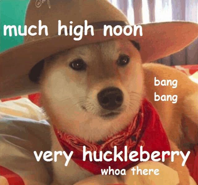 a dog wearing a cowboy hat and a bandana says much high noon