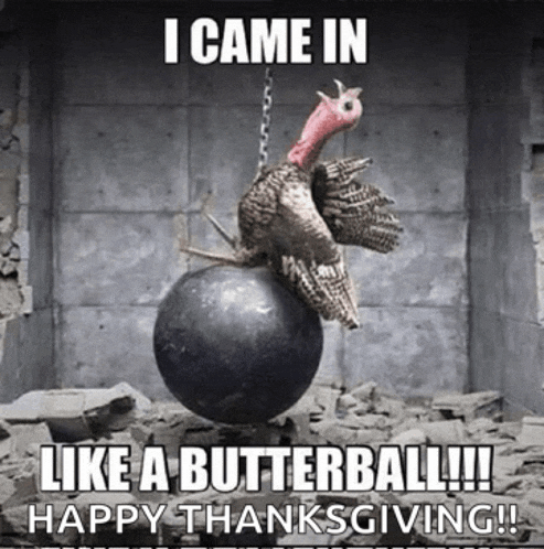 a turkey is sitting on a ball with the caption " i came in like a butterball !!! happy thanksgiving "