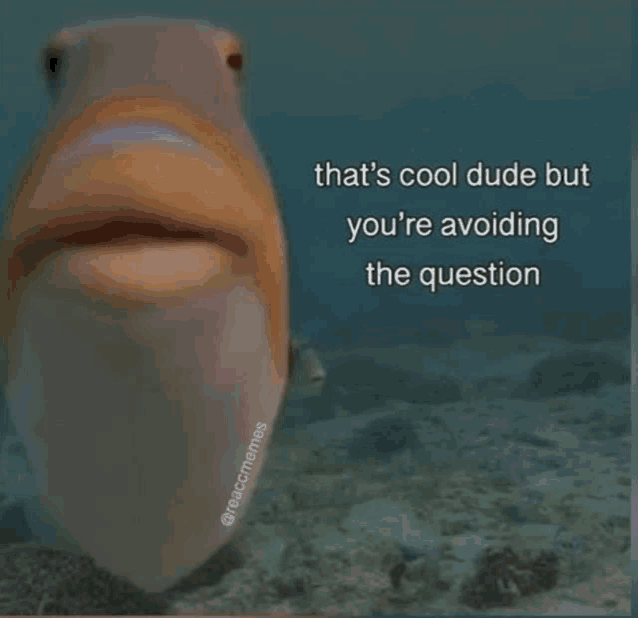 a fish is swimming in the ocean with a caption that says that 's cool dude but you 're avoiding the question