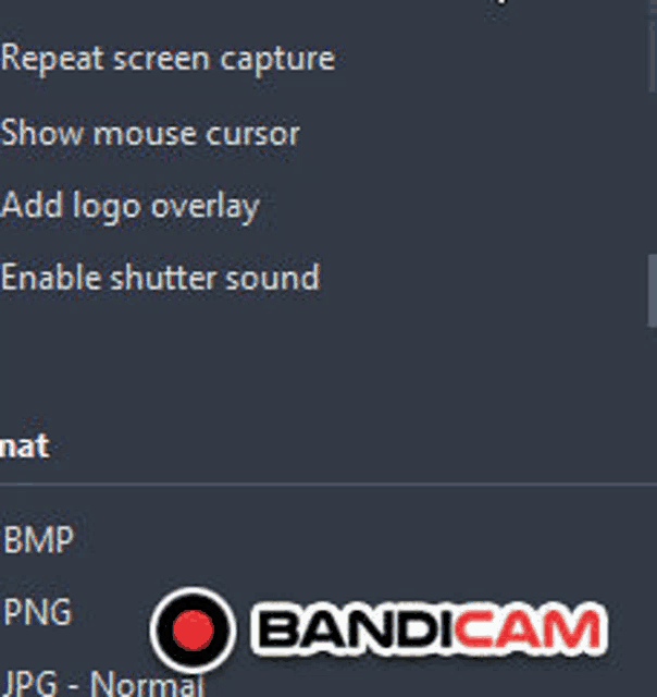 a screenshot of a bandicam app showing the options to repeat screen capture and show mouse cursor