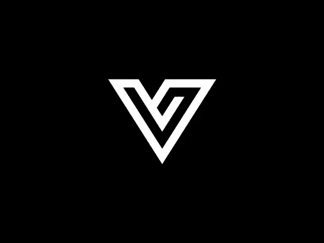 a white triangle with the letter v inside of it on a black background