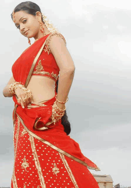 a woman in a red and gold dress is standing in front of a white background