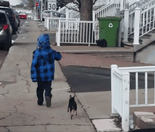 a boy in a blue jacket is walking a dog down a sidewalk in front of a sign that says 30