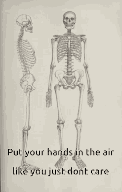 a drawing of a skeleton with the words put your hands in the air like you just don t care