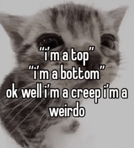 a cat with the words " i 'm a top i 'm a bottom "