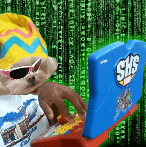 a dog wearing sunglasses and a yellow hat is typing on a shs toy