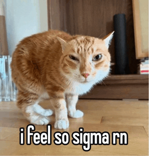 an orange and white cat with the words i feel so sigma rn written below it