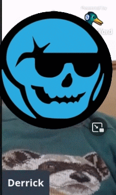 a blue skull with sunglasses and a duck on top of it and the name derrick