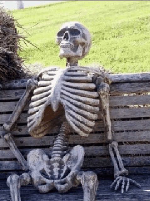 a skeleton is sitting on a wooden bench in a park