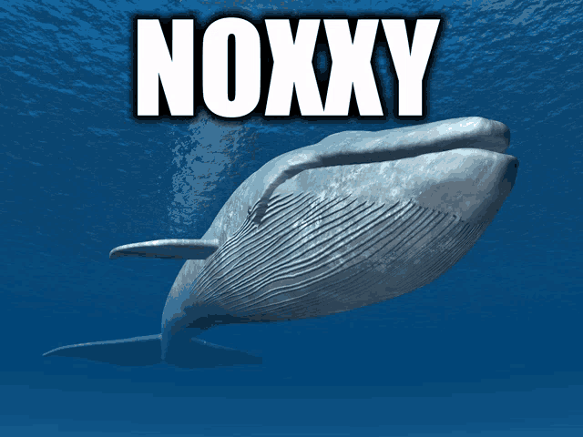 a picture of a whale with the word noxxy on it