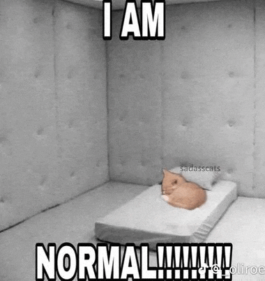 a cat is laying on a bed in a room with a caption that says `` i am normal '' .