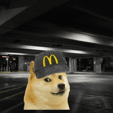 a dog wearing a mcdonald 's hat stands in a parking lot