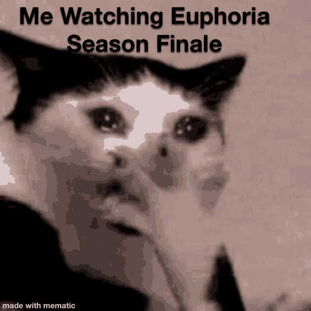 a black and white photo of a cat with a caption that says me watching euphoria season finale