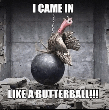 a turkey is sitting on top of a ball with the caption i came in like a butterball !!!