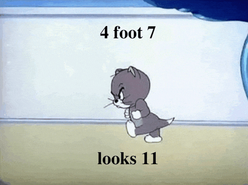 a cartoon of a cat with the words 4 foot 7 looks 11