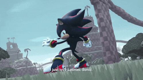 shadow the hedgehog says i just love latinas sonic in a video game