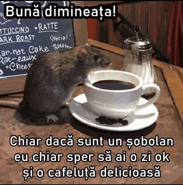 a mouse sits next to a cup of coffee on a saucer