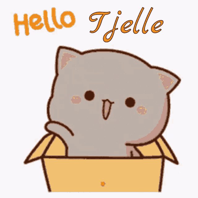 a cartoon cat is in a box and says hello tjette