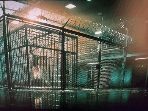 a prison cell with a barbed wire fence and the number c-104