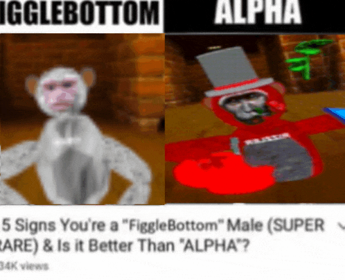 a picture of a monkey next to a picture of a man with a top hat and a red shirt that says alpha