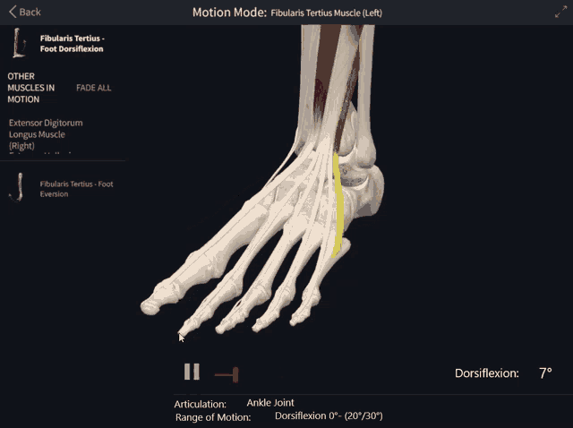 a skeleton of a foot is shown on a screen with the words motion mode at the top