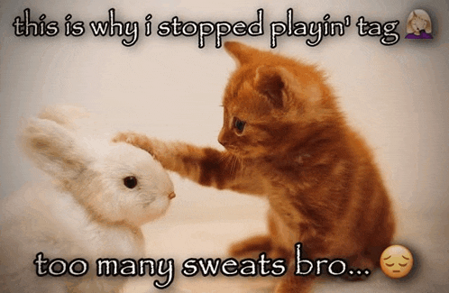 a cat petting a rabbit with the caption " this is why i stopped playin tag too many sweats bro "