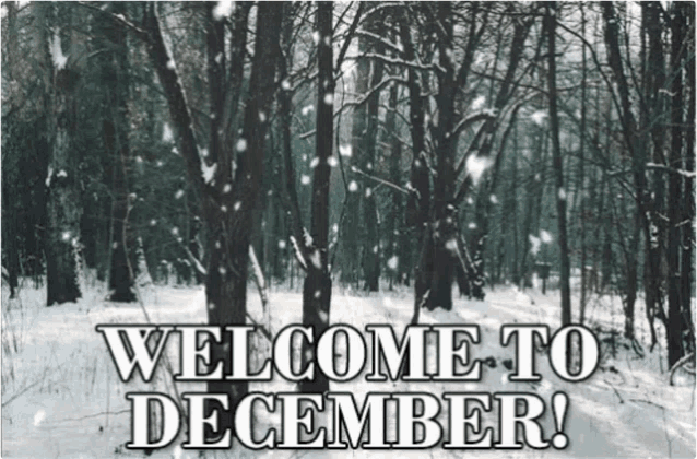 a snowy forest with the words welcome to december written on it