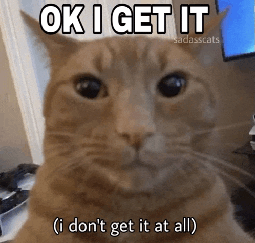 a cat says ok i get it and i don t get it at all