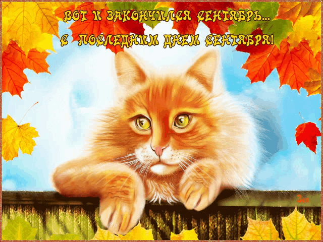 a cat laying on a fence with autumn leaves in the background and a greeting in a foreign language