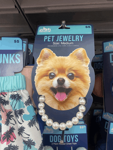 a picture of a pomeranian dog wearing a pearl necklace is on a card that says pet jewelry