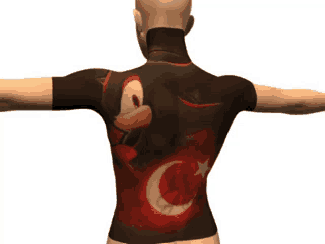 the back of a mannequin with a shadow the hedgehog shirt on