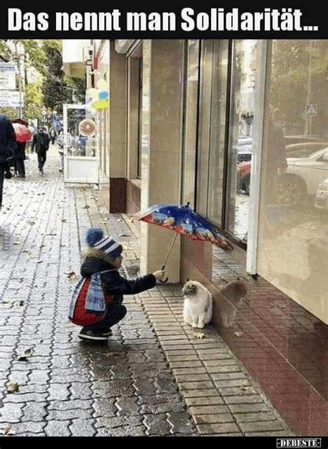 a child is holding an umbrella over a cat on the sidewalk .