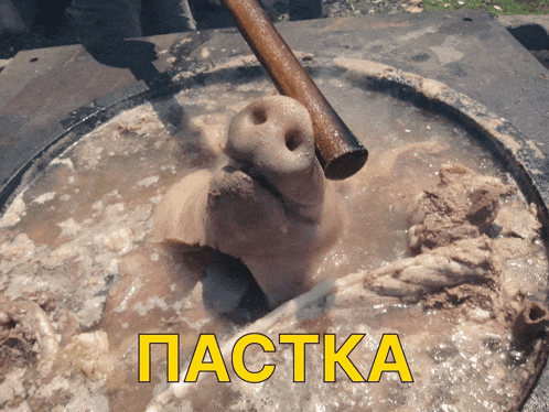 a pig 's nose is sticking out of a pot of food with the word pastka written on it