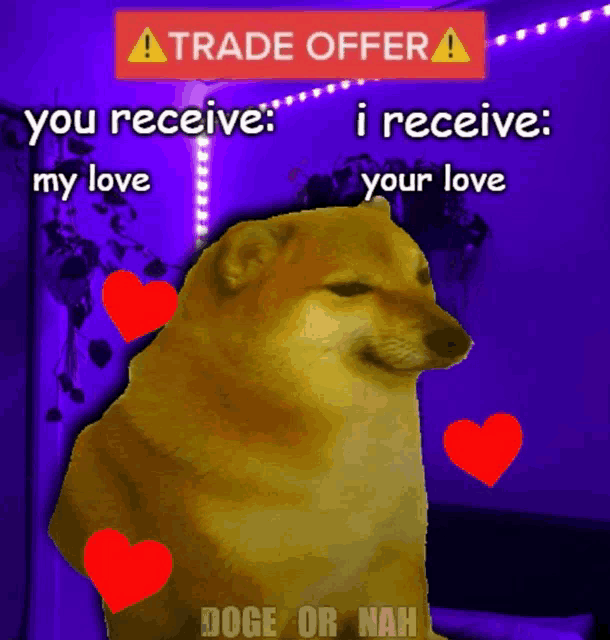 a picture of a dog with hearts around it and the words trade offer on top