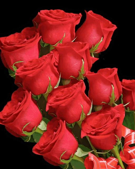 a bunch of red roses with a red ribbon on a black background