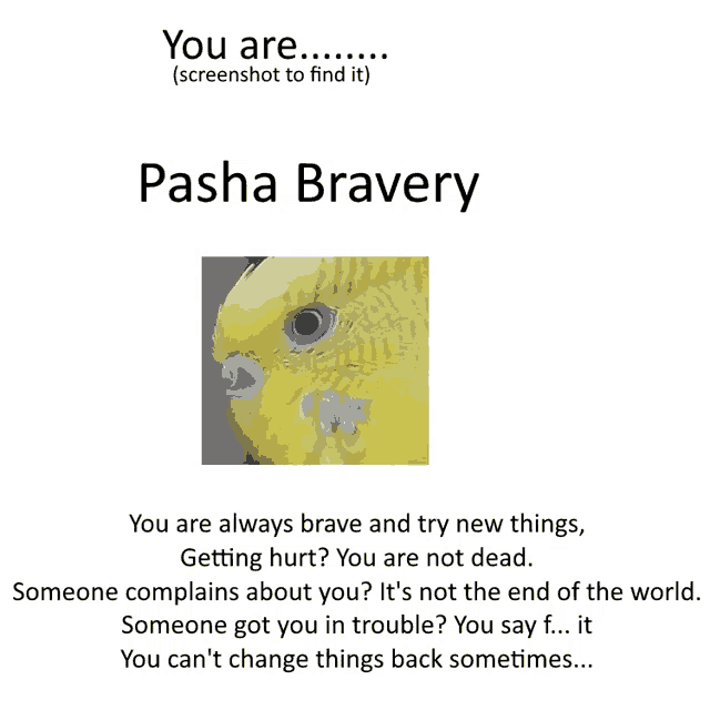 a screenshot of pasha bravery with a yellow bird