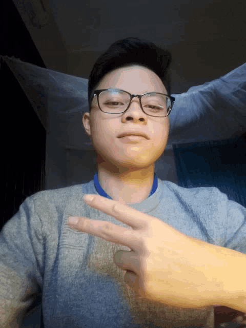 a young man wearing glasses and a grey shirt giving the peace sign