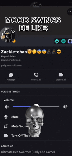 a screenshot of a discord app with the words mood swings be like on the top