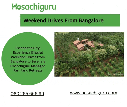 a green circle with the words weekend drives from bangalore