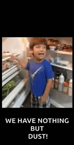 a young boy is standing in front of a refrigerator with the words `` we have nothing but dust '' written on the bottom .