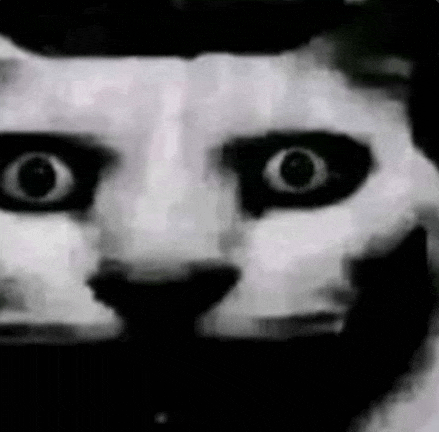 a black and white photo of a cat 's face with a surprised look on its face .