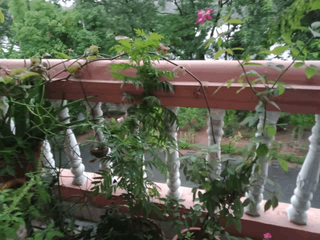 a balcony with potted plants and a pink flower in the background