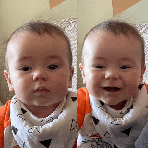 a baby wearing a bib with a zebra on it smiles for the camera